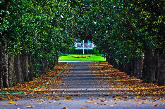 What Makes the Masters Golf Tournament So Remarkable?